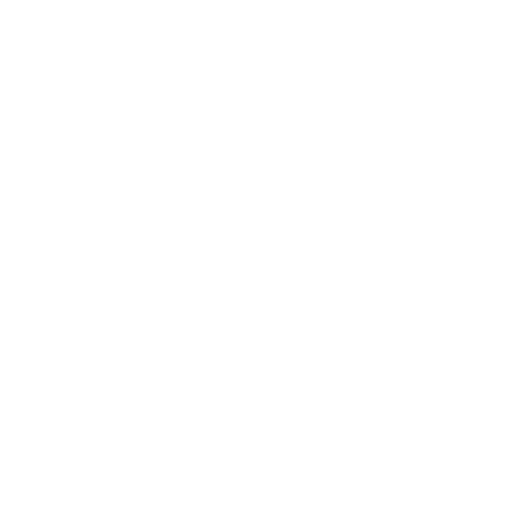 university of groningen